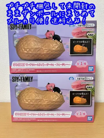 SPY x FAMILY 피넛 룸 라이트 아냐 포저 x 2개