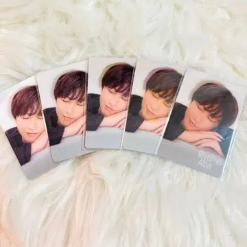 [미사용 새상품] 아베 료헤이 치라미 카드 5장 세트