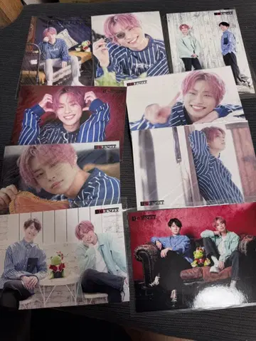 하마켄토 쿠마가이켄타로 왕님 JUNGLE 브로마이드