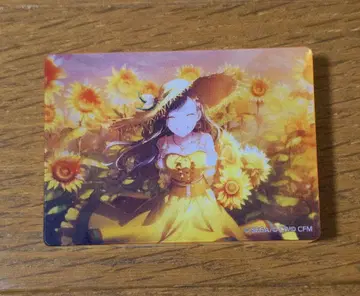 프로세카 시로이시 안 아트 vol.44