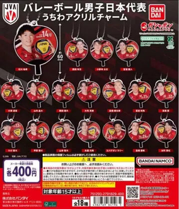 전 18종류 배구 남자 일본 대표 부채 아크릴 참 컴플리트