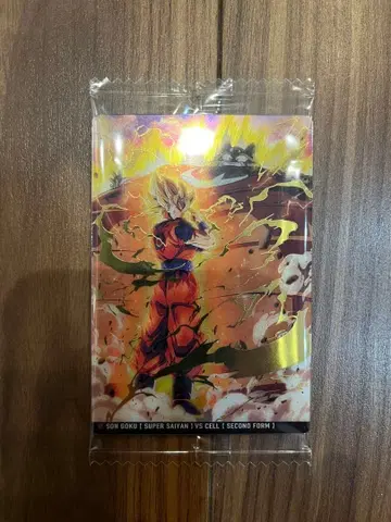 이타쟈가 드래곤볼 vol.8 SEC 8-19