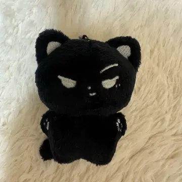 제이 ENHYPEN jay 마스터 10cm 인형 봉제 인형