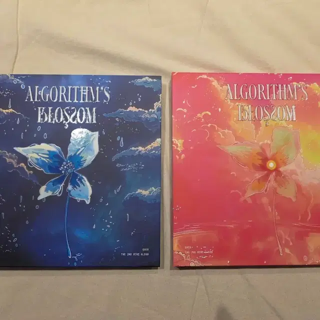 2종세트 큐더블유이알 - 미니 2집 qwer 앨범