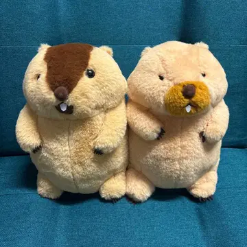 마모트의 모토토 JB 봉제 인형 아타로 보바군