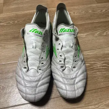 모렐리아 네오 4 화이트/그린