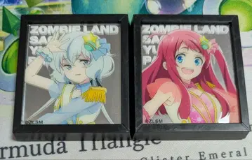 미나모토 사쿠라, 콘노 준코 마그넷 거울