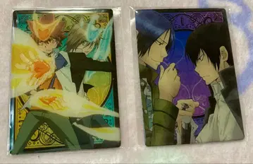 복권 메이트 가정교사 히트맨 REBORN! 메탈릭 카드