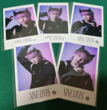 초특급 슈야 시무라 히데야 NINE LIVES 미니 사진 솔로 컴프