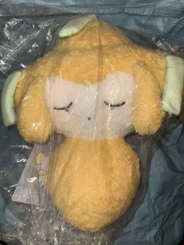 축광 봉제 인형 지라치 별 이어짓기 등신대 잠꾸러기 지라치