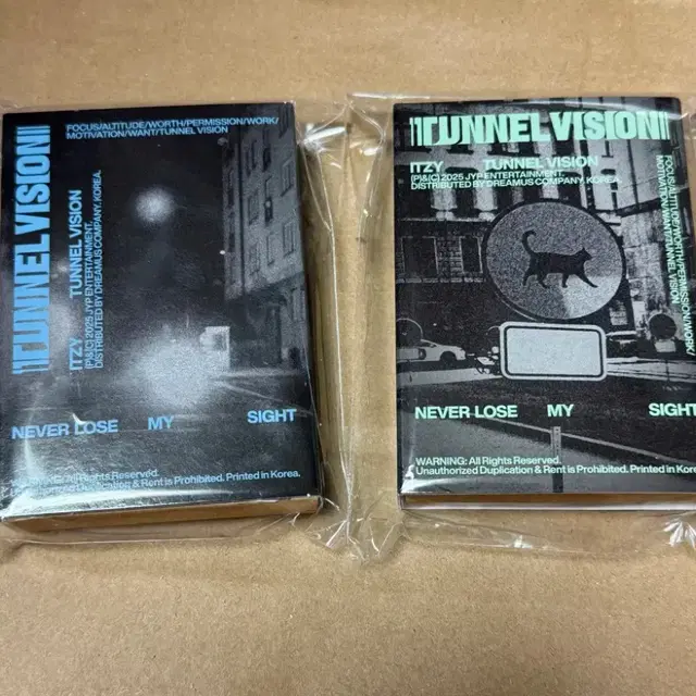 있지 터널비전 앨범