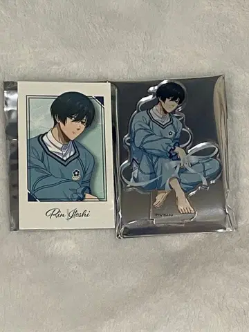 블루 록 MAYLA 마이라 아크릴 스탠드 카드 이토시 린