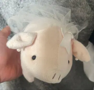 돼지 인형 튤 포함