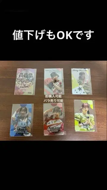 후르츠 지퍼 카드 세트