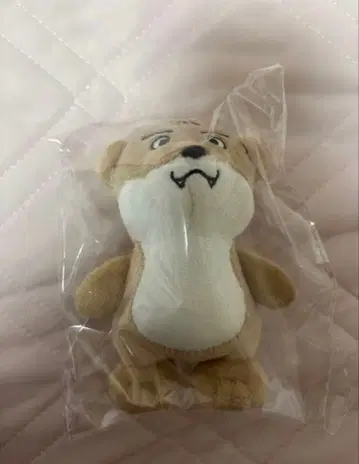 ONE N' ONLY 원엔 사와무라 레이 REI 생탄 굿즈 사와우소군