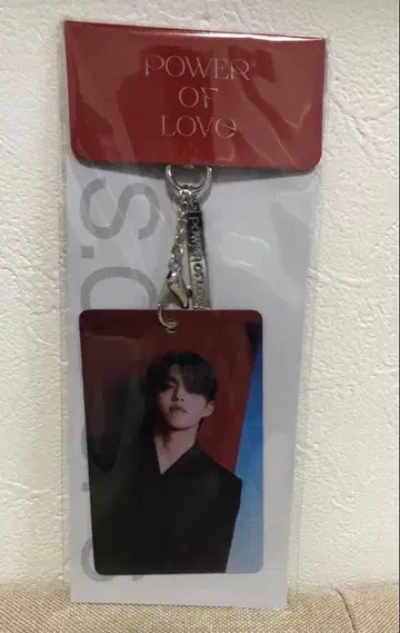 SEVENTEEN 에스크 미개봉 Power of Love 키링