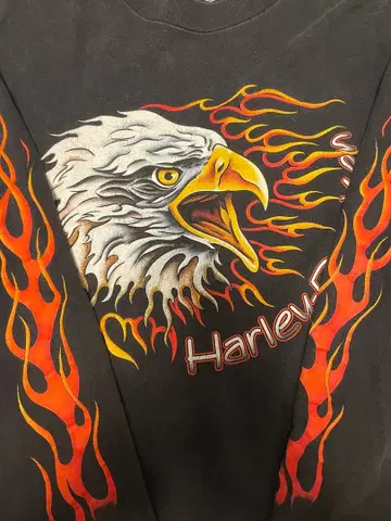 [ 레어 ] 90s 할리데이비슨 빈티지 롱T 이글 프레임