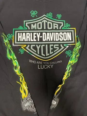 [ 구하기 어려움 ] 할리데이비슨 그린 프레임 빈티지 롱T 구제 의류