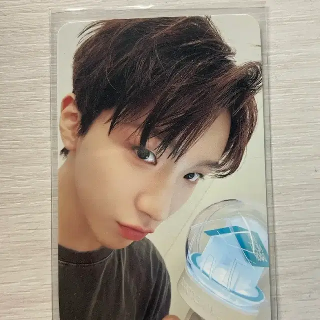 보넥도 운학 응원봉 포카