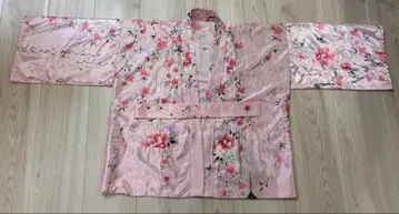 모모이로 클로버 Z 모모이로 펀치 의상