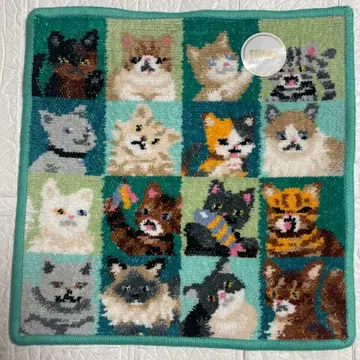 페이러 룩! 마이 캣