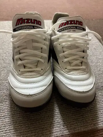 모렐리아 사라 프로 tf 25.0cm 덤으로 신발 키퍼를 드립니다!!