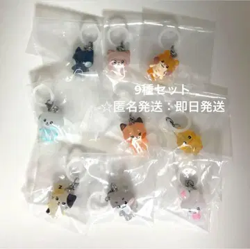 zeroni 메지루시 액세서리 제베원 zb1