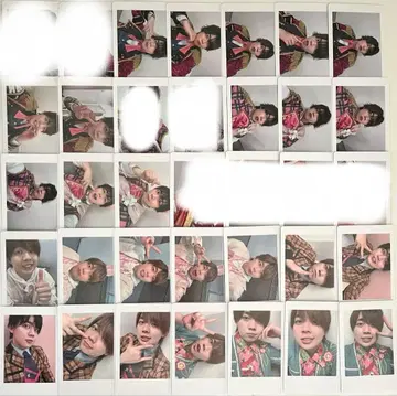 팬더 드래곤 나기 하피카