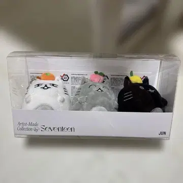 SEVENTEEN 아티스트 메이드 JUN 키링