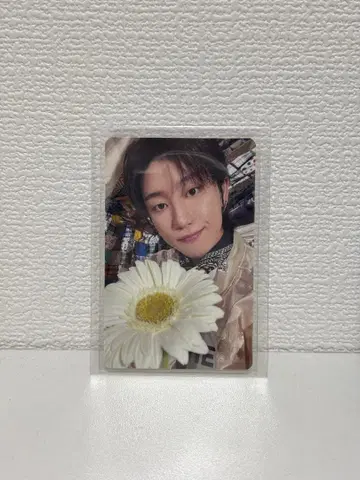 SEVENTEEN 소비기한 carat반 민하오 트레이딩 카드