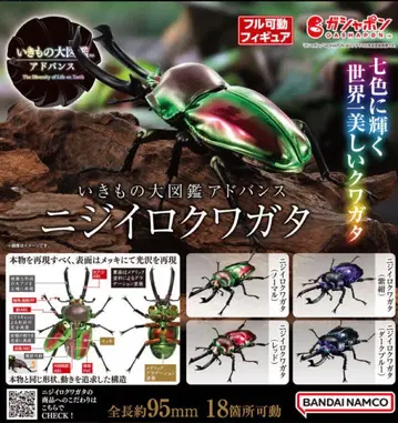 생물대도감 어드밴스 무지개 사슴벌레 전 4종