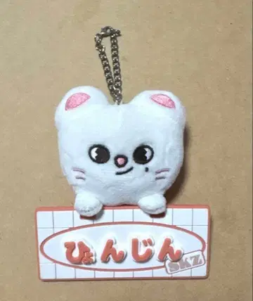 skzoo 현진 지니레트 toy world 네임 백참