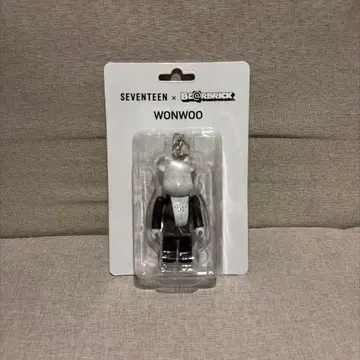 SEVENTEEN 원우 베어브릭