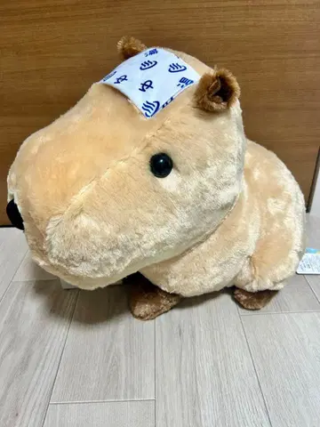 느긋한 카피바라짱 온천을 아주 좋아해 카피짱