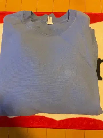 챔피온 리버스 위브 스카이블루