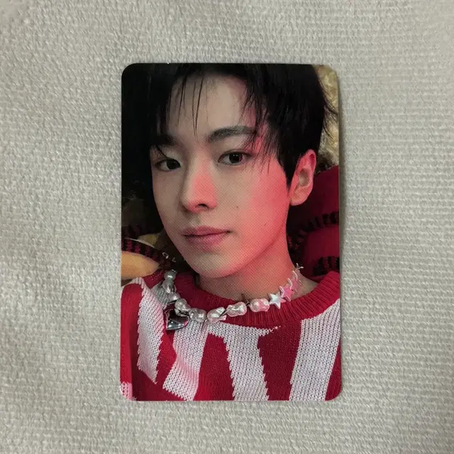 엔시티위시 유우시 스테디 앨범 포카 양도