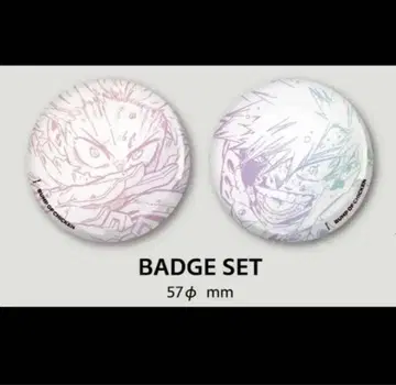 BUMP OF CHICKEN i 최초 한정판 혜택 히로아카 캔뱃지 굿즈