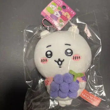 지역 한정 치이카와 야마나시 한정 포도 마스코트 휴게소 한정