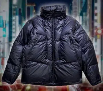 STABRIDGE DESCENTE WORLDTOUR DOWN JACKET