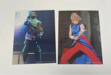 에이스테 스테쇼 셋츠 반리