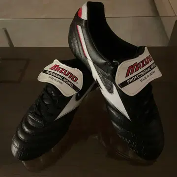 연말까지 모렐리아 2 japan