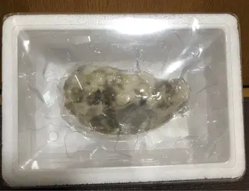 미사용 TAiTO 재미있는 잡화 키케이스