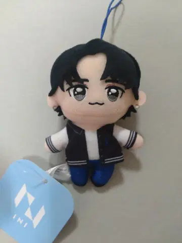 INI 마스코트 봉제 인형