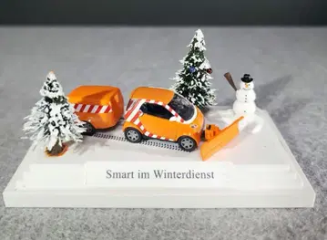 BUSCH SMART 1/87 Smart im Winterdienst