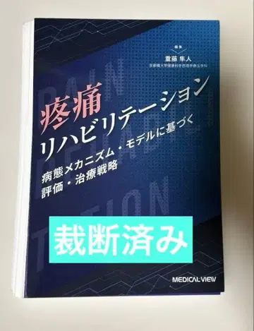 통증 재활 병태 메커니즘 모델 기반 평가 치료