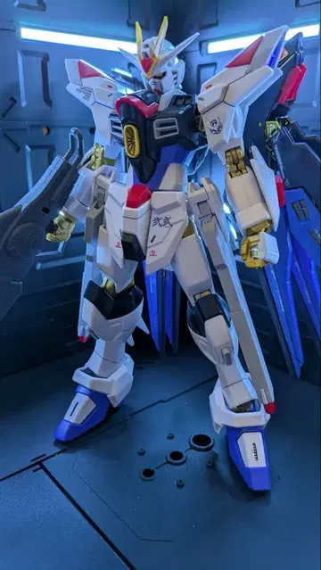 HG 스트라이크 프리덤 이식