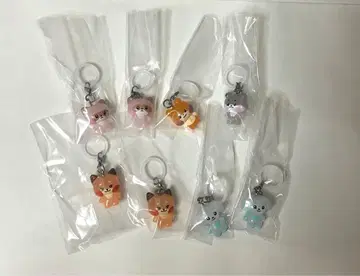 zeroni 메지루시 액세서리 하니니 비니니 그니니 슨니니 귈니니