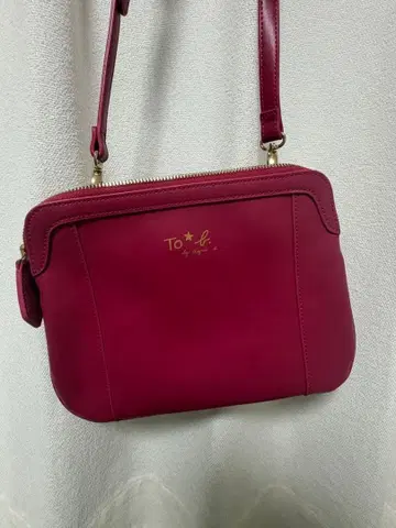 아그네스 베 숄더백