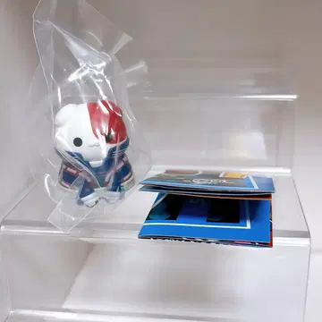 히로아카 냥코 토도로키 쇼토