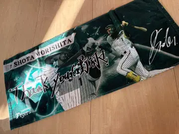 모리시타 쇼타 한신 타이거즈